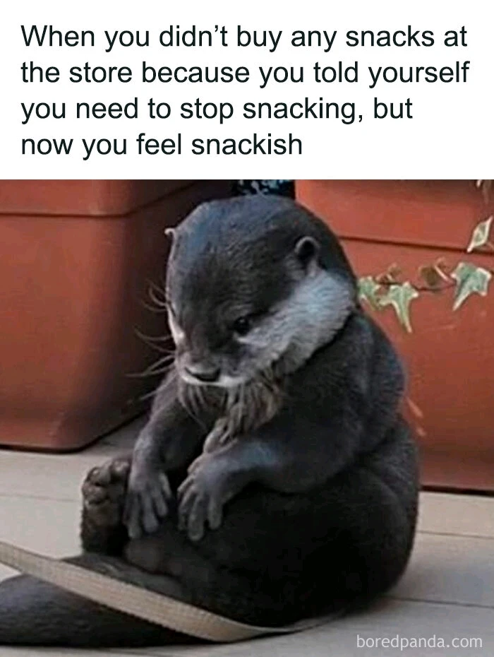 GIF uploaded by DezzieDee