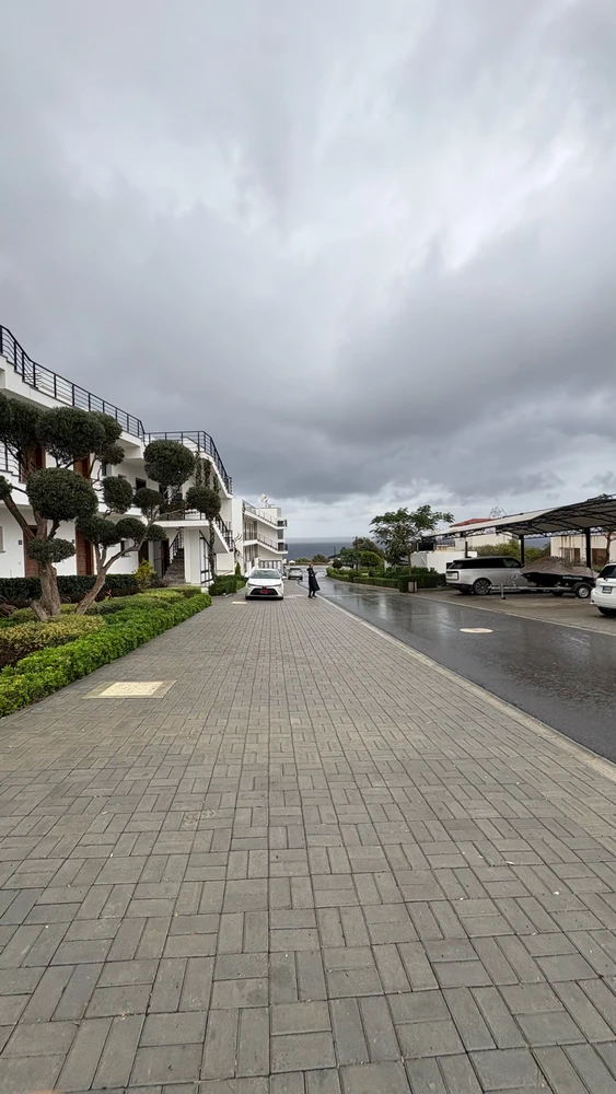 Image uploaded by Mohreza