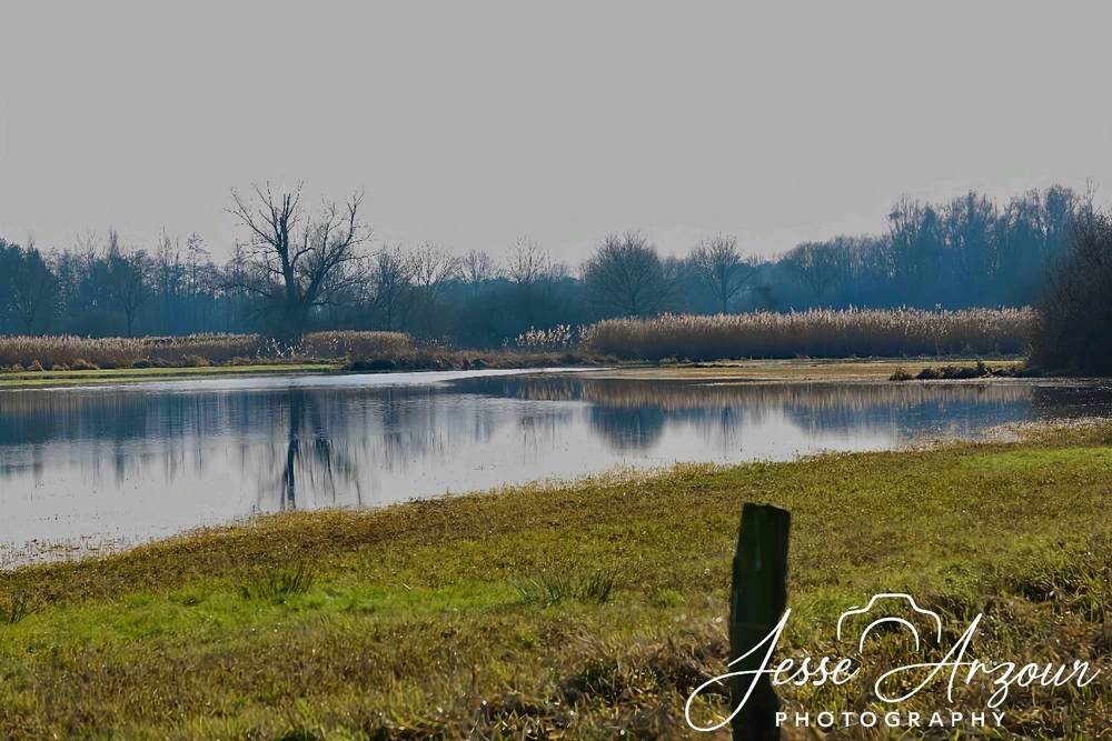 Image uploaded by Jesse