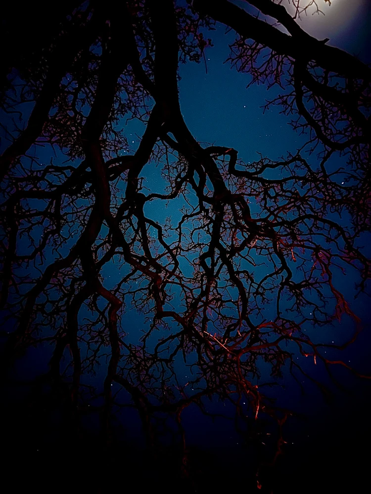 GIF uploaded by Emma