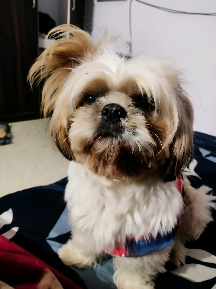 GIF uploaded by Rahul Raj