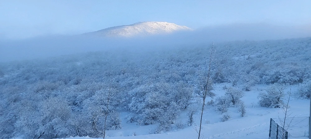 Image uploaded by Nagi