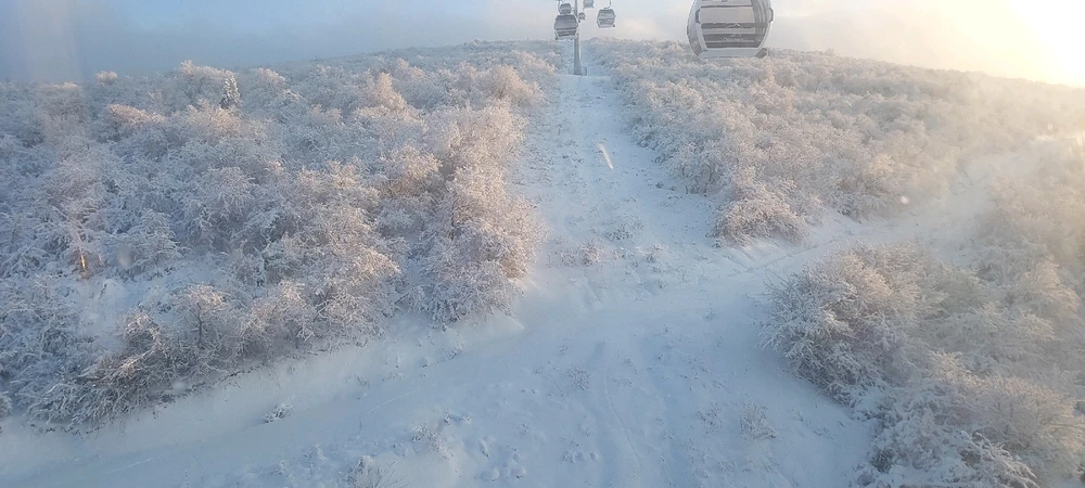 Image uploaded by Nagi