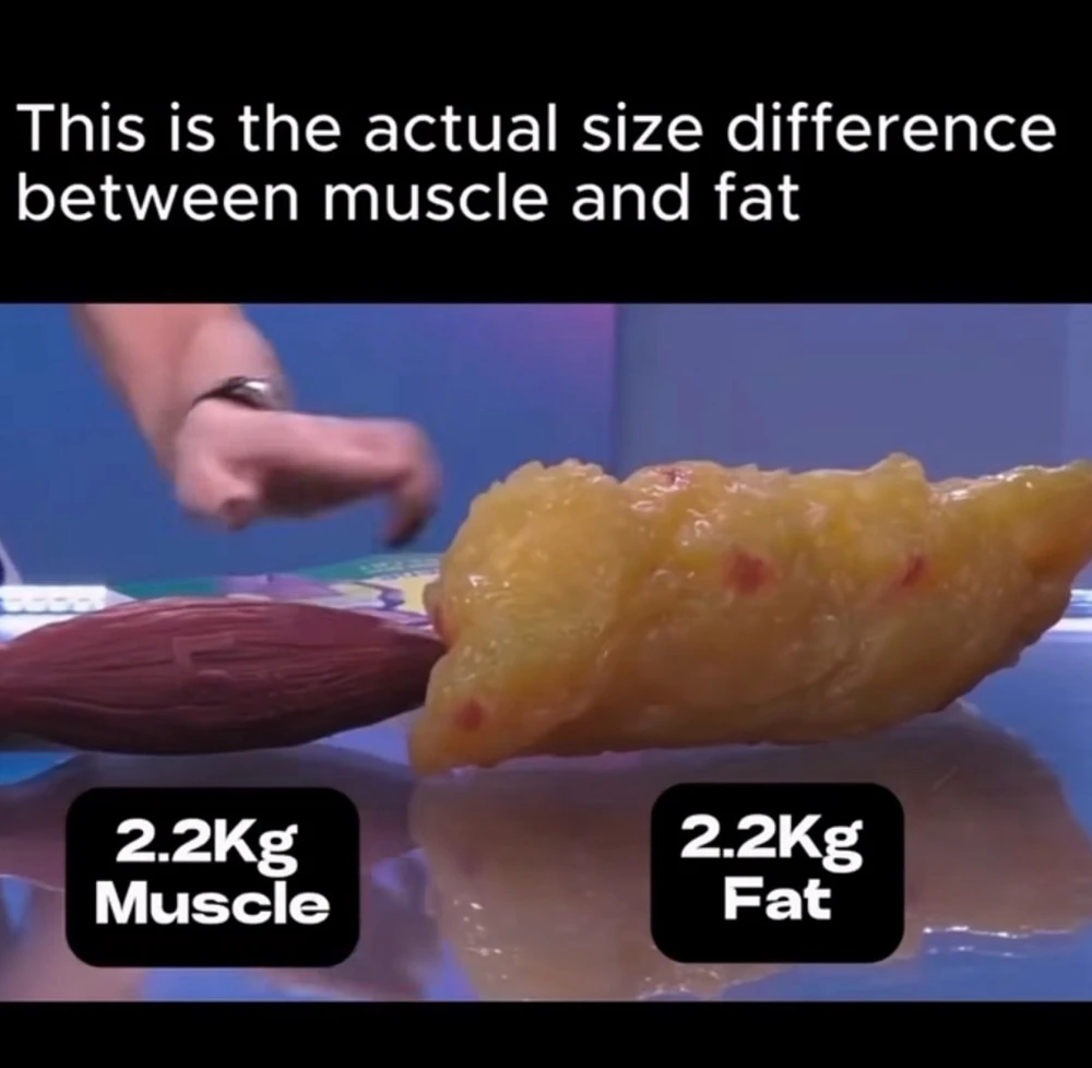 GIF uploaded by Simon