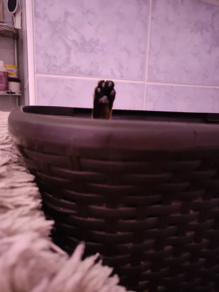 GIF uploaded by Nathalie