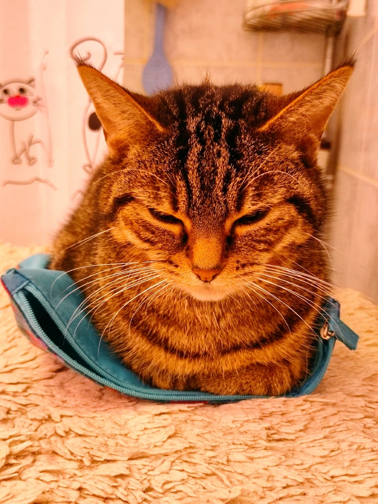 GIF uploaded by Nathalie