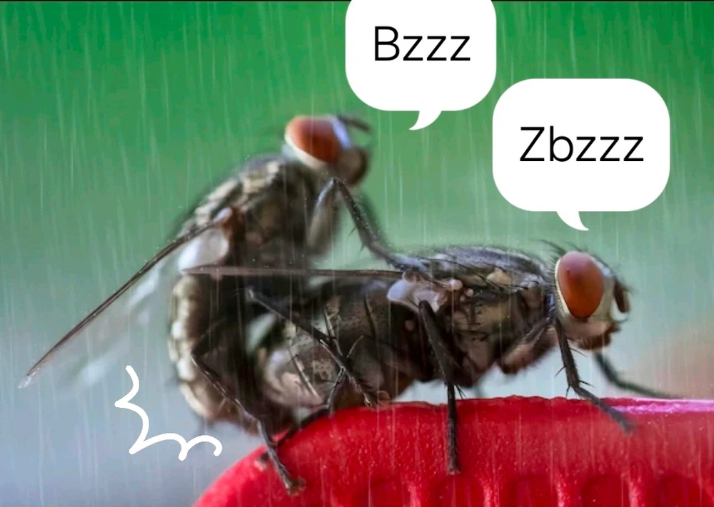 GIF uploaded by Hu Man