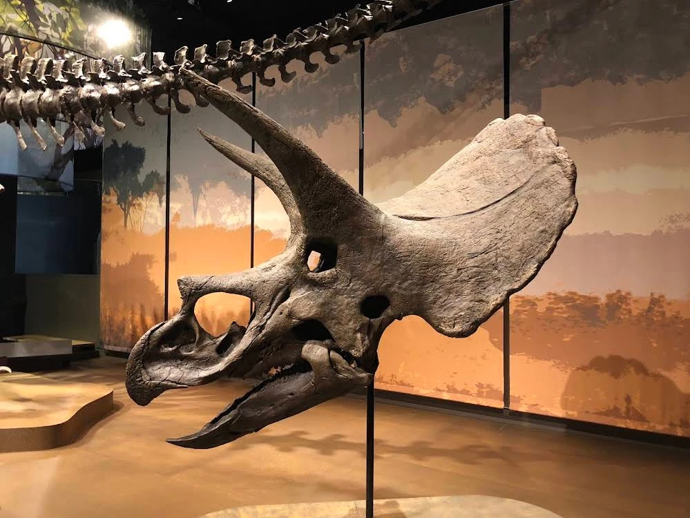 GIF uploaded by Justin