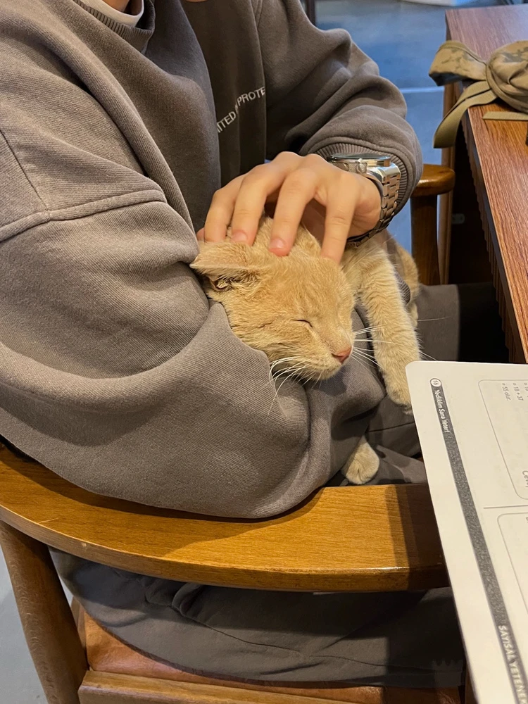 Image uploaded by Mert