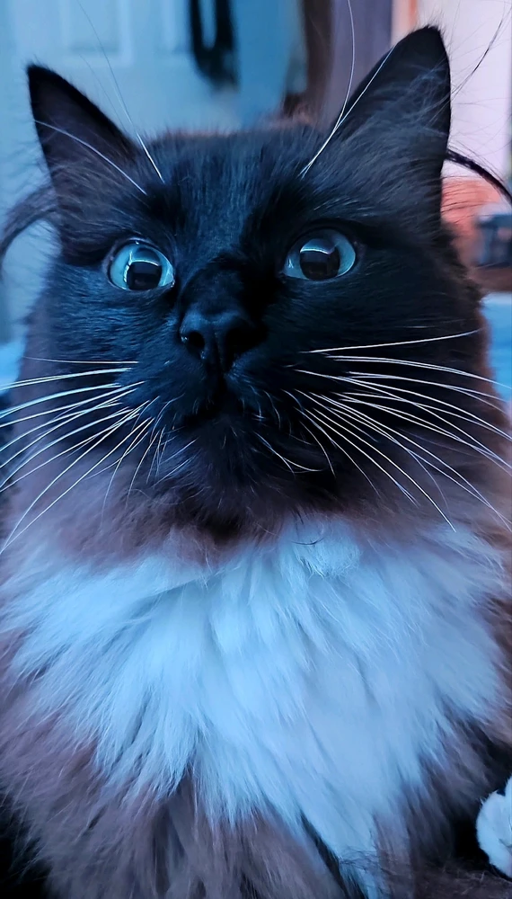 Image uploaded by Andy