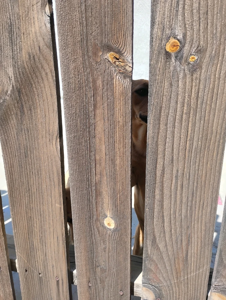 GIF uploaded by Crissy