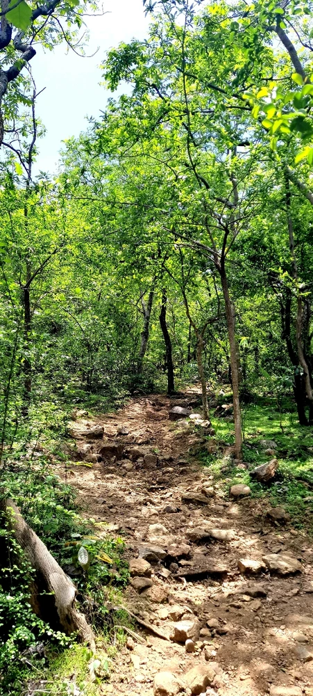 GIF uploaded by Siddharth Reddy