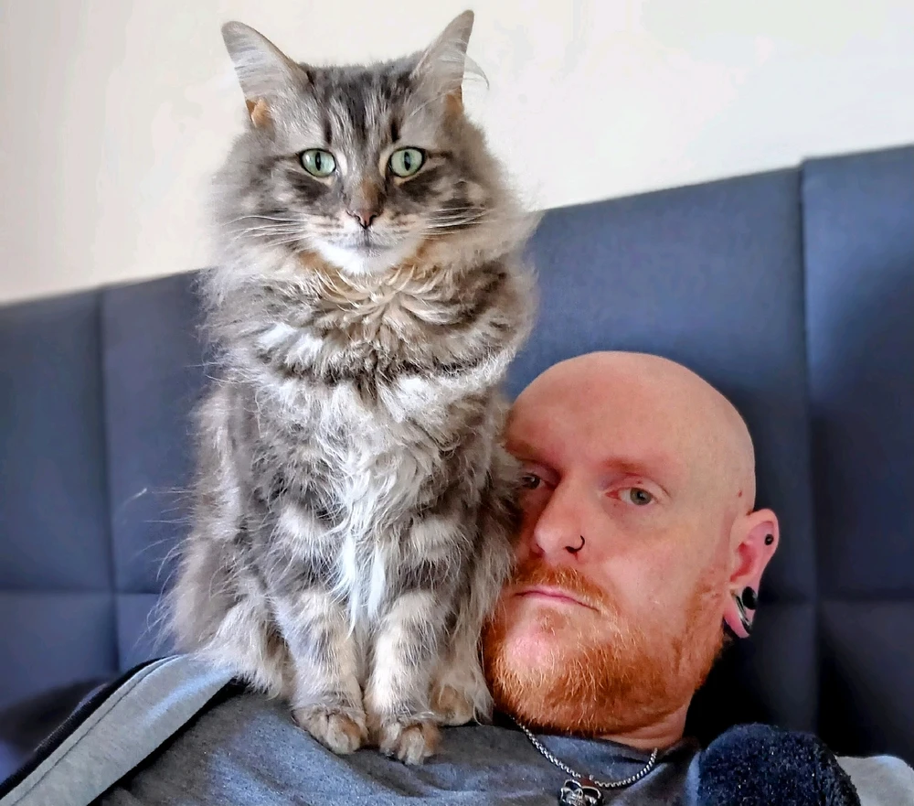 GIF uploaded by Andy