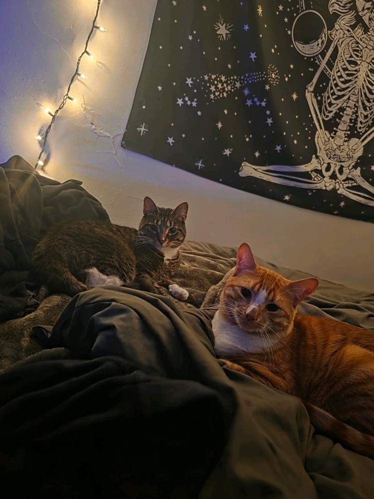 GIF uploaded by Austin