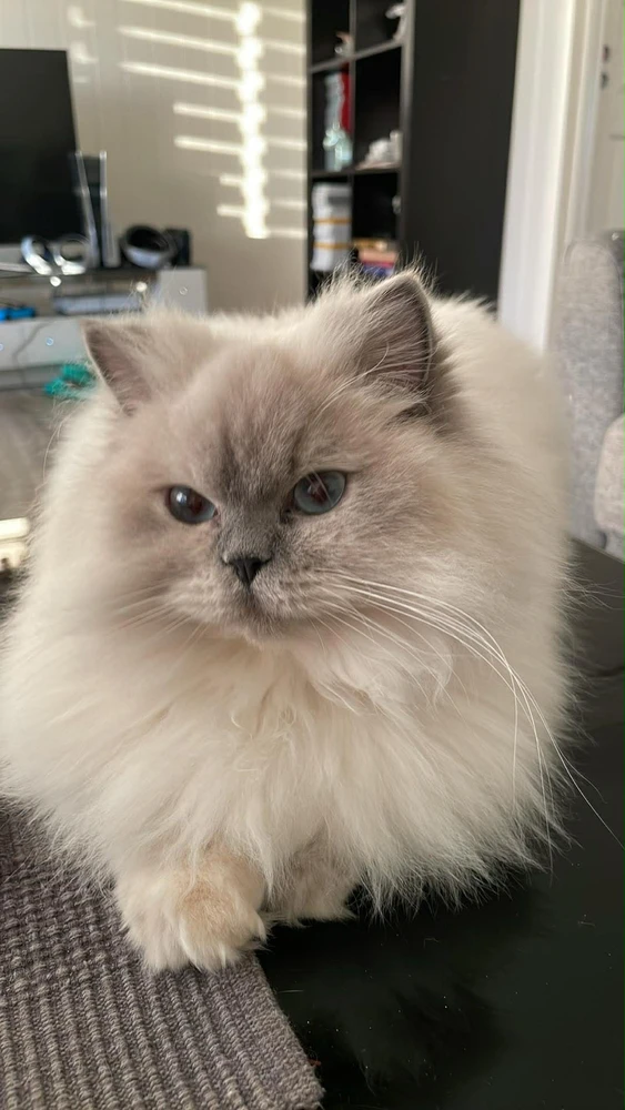 GIF uploaded by Tommy