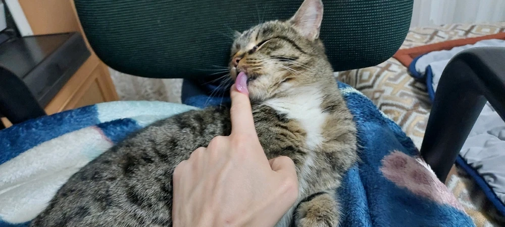 GIF uploaded by Alex