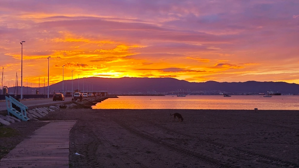 Image uploaded by Adrian