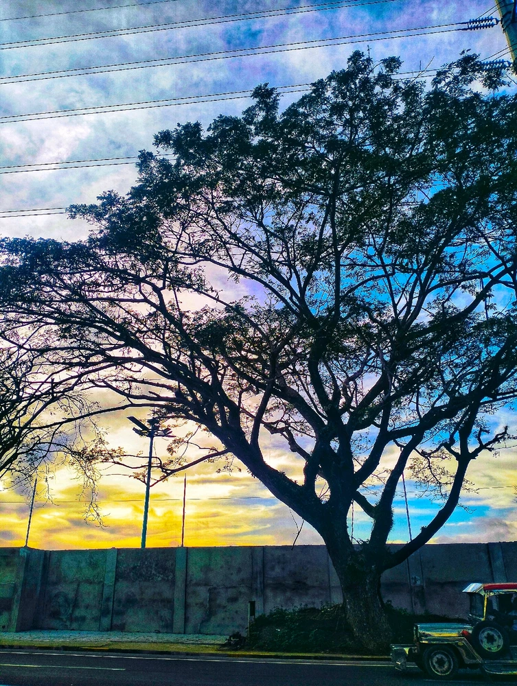 GIF uploaded by Janey