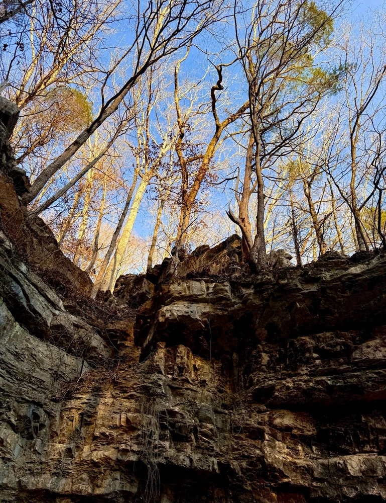 GIF uploaded by APØLLYØN