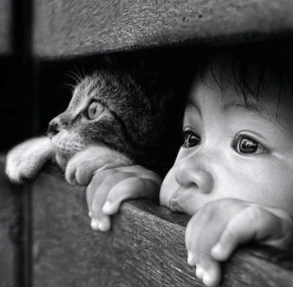 GIF uploaded by Twopercentnorseman