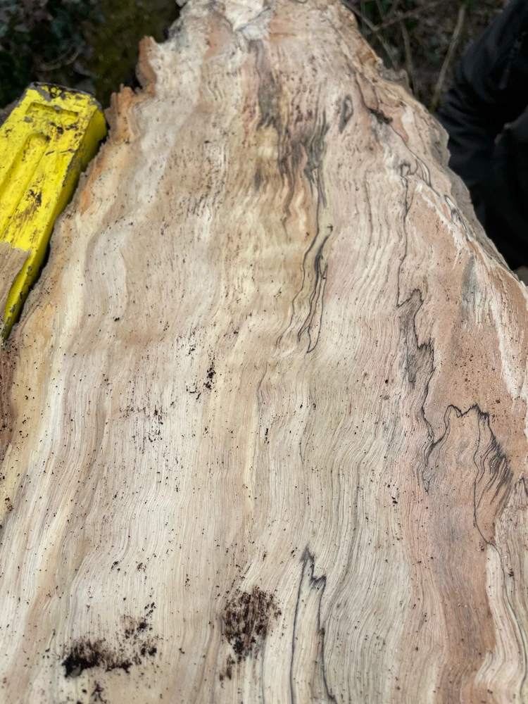 Immagine caricata da Alessias