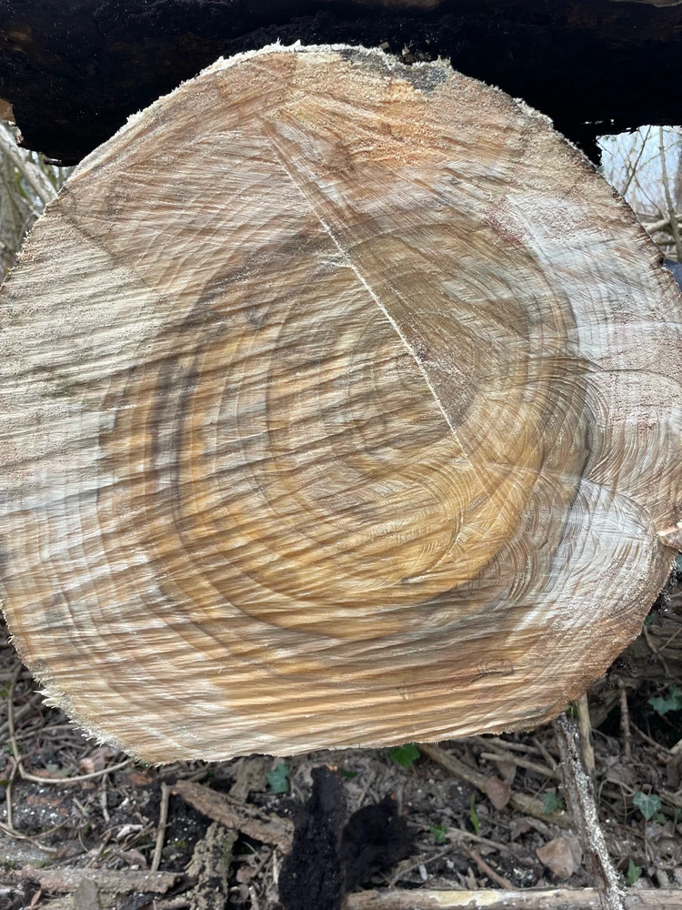 Immagine caricata da Alessias