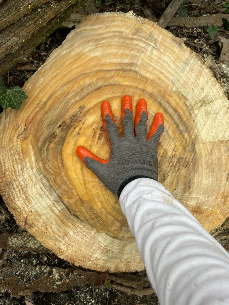 Immagine caricata da Alessias