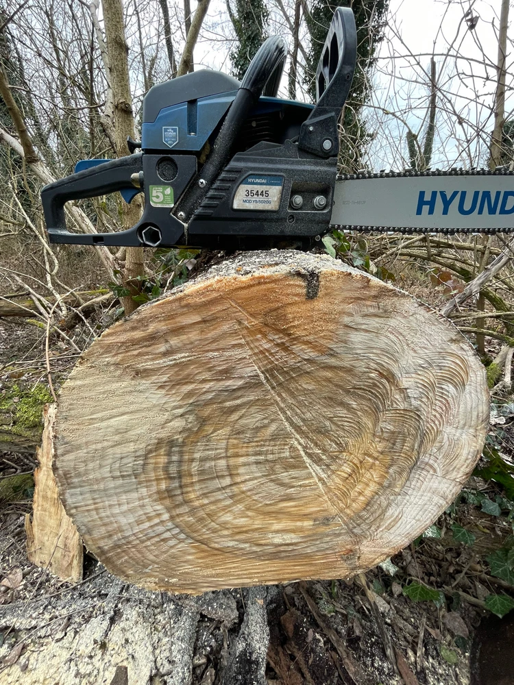 Immagine caricata da Alessias