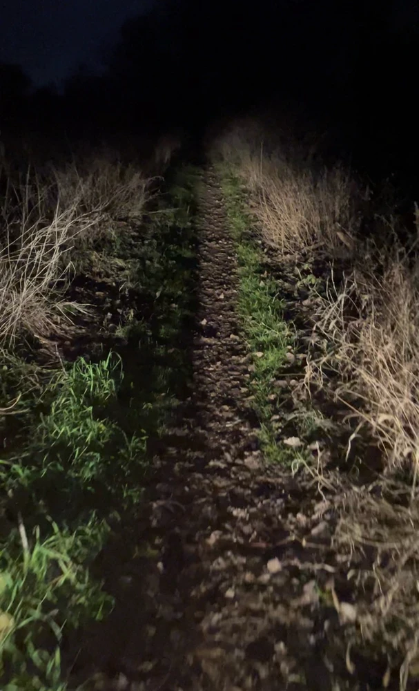 Immagine caricata da Alessias