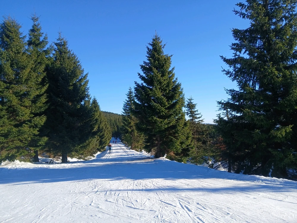 Obrázek nahrál Tonda