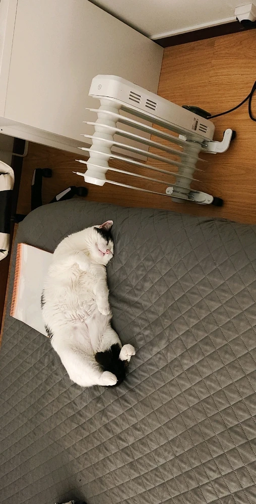 GIF uploaded by mars