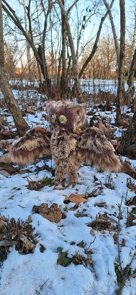 Зображення завантажив Юлія