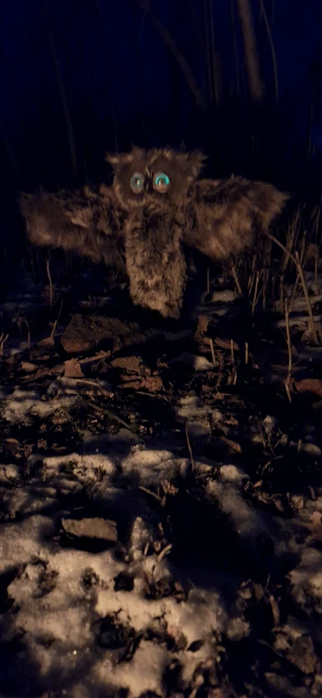 Зображення завантажив Юлія