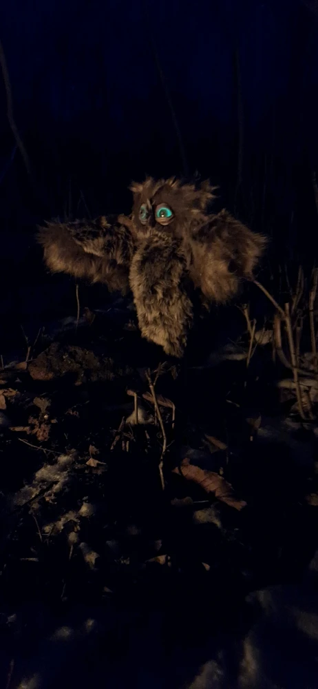 Зображення завантажив Юлія