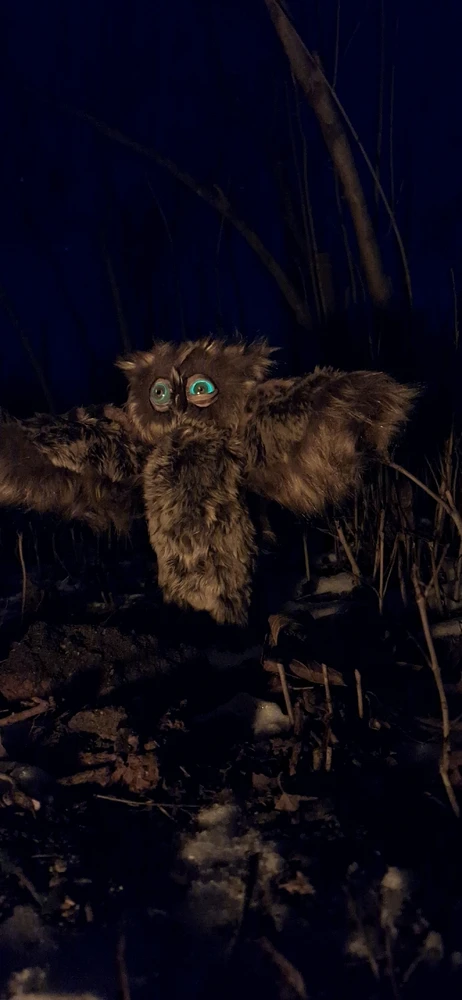 Зображення завантажив Юлія