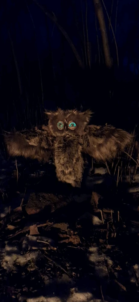 Зображення завантажив Юлія