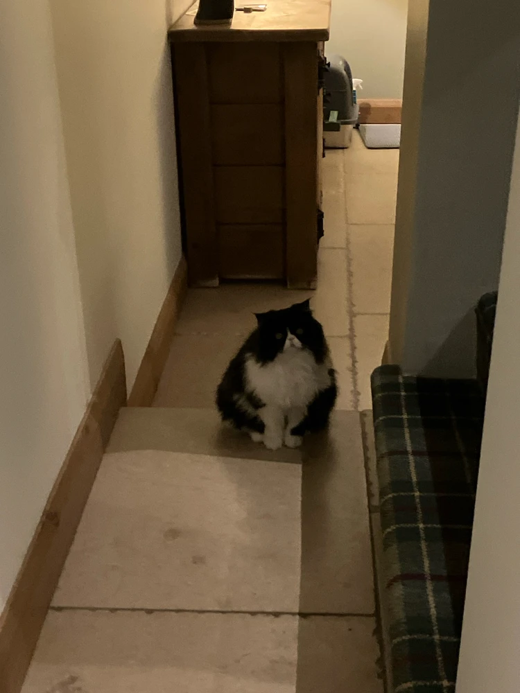 GIF uploaded by Harvey