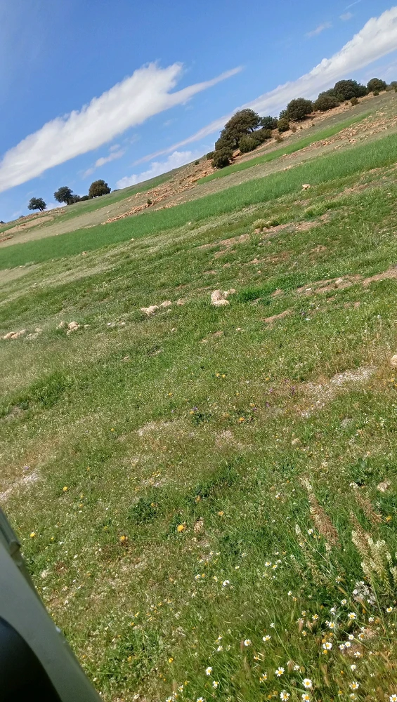 GIF uploaded by Houssem