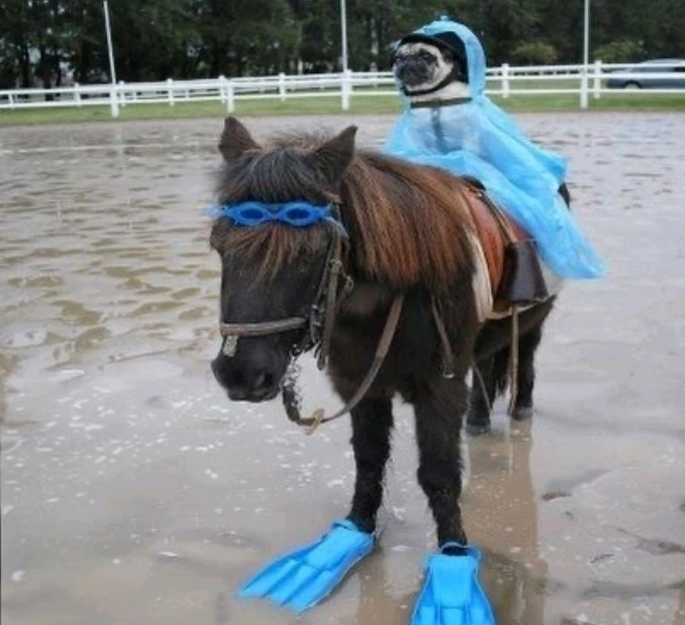 GIF uploaded by Morri