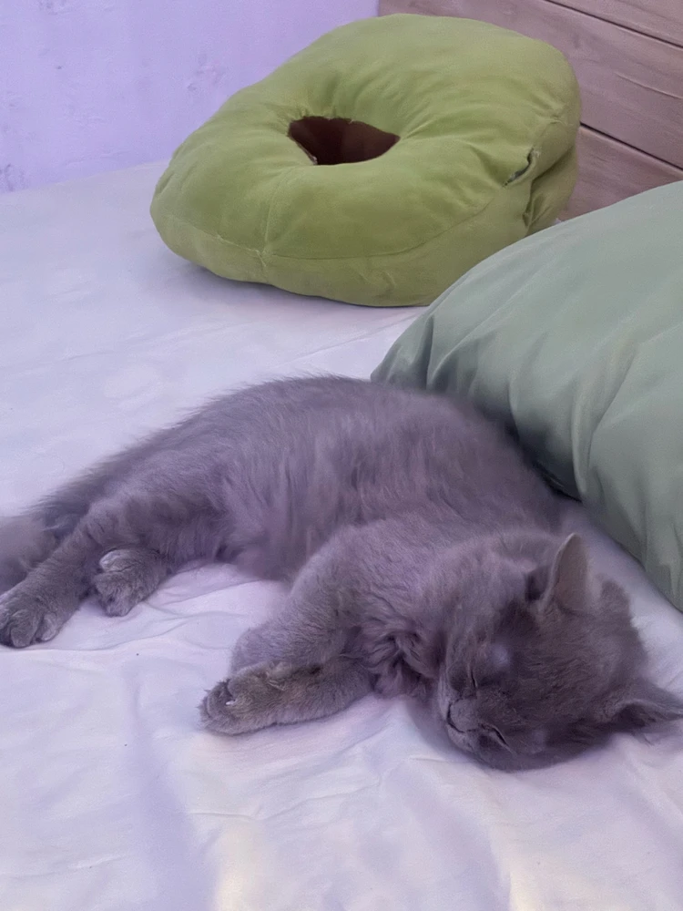 GIF uploaded by Symoore