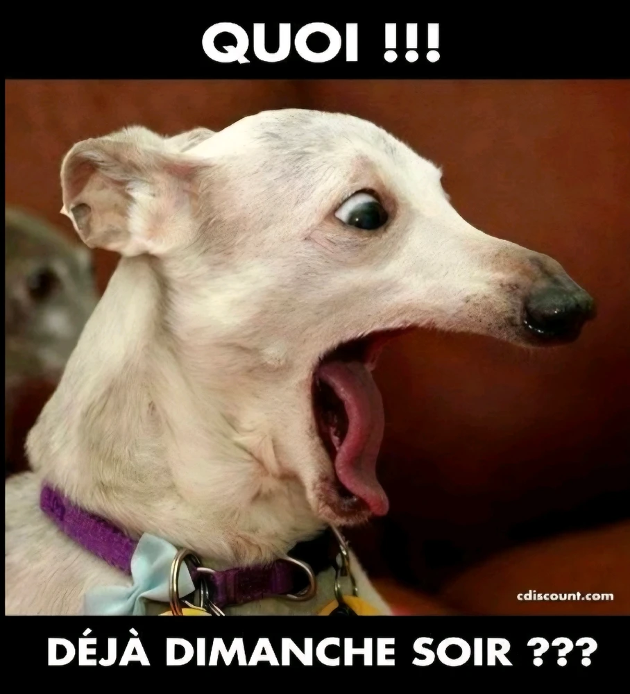 GIF ajouté par Edouard