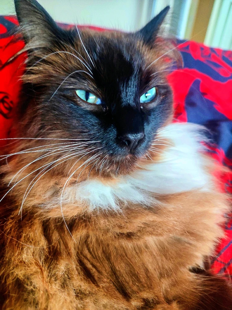 GIF uploaded by Andy