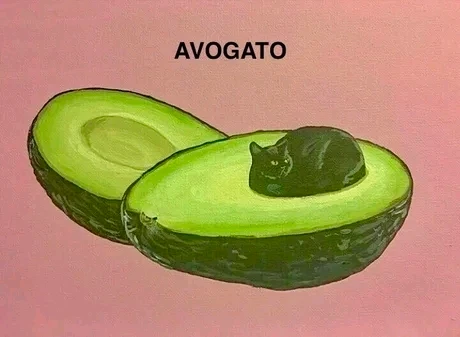 GIF uploaded by Marcus