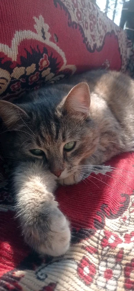 Image uploaded by Vlad