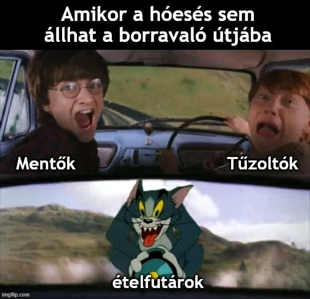 Havrilcsák Dávid által feltöltött GIF