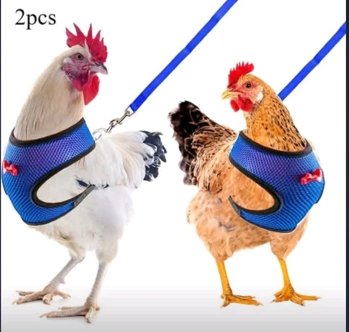 GIF uploaded by Broni