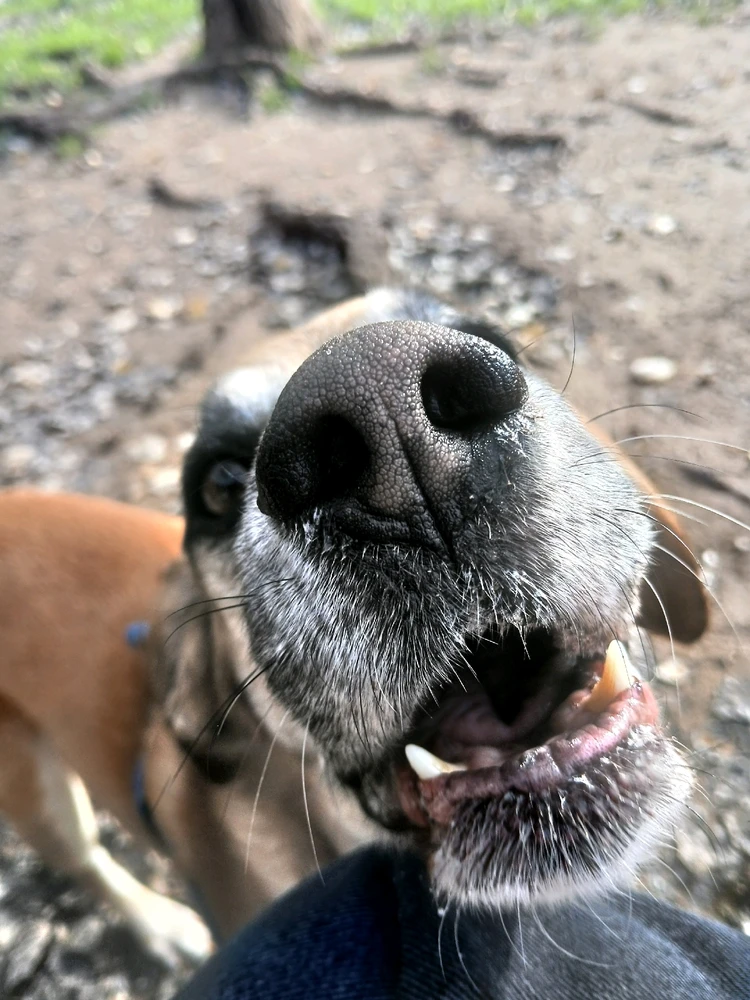 GIF subido por Denis