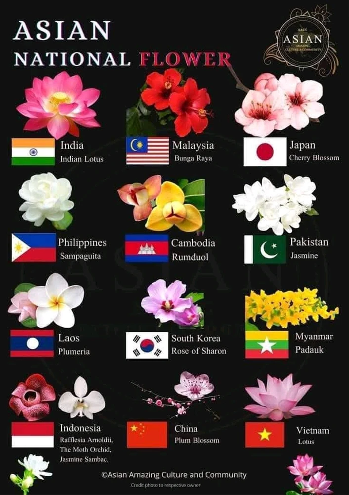 GIF uploaded by Mimi