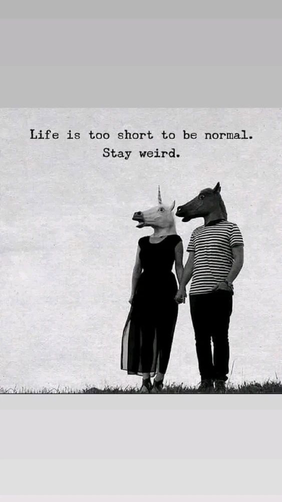 GIF ajouté par David