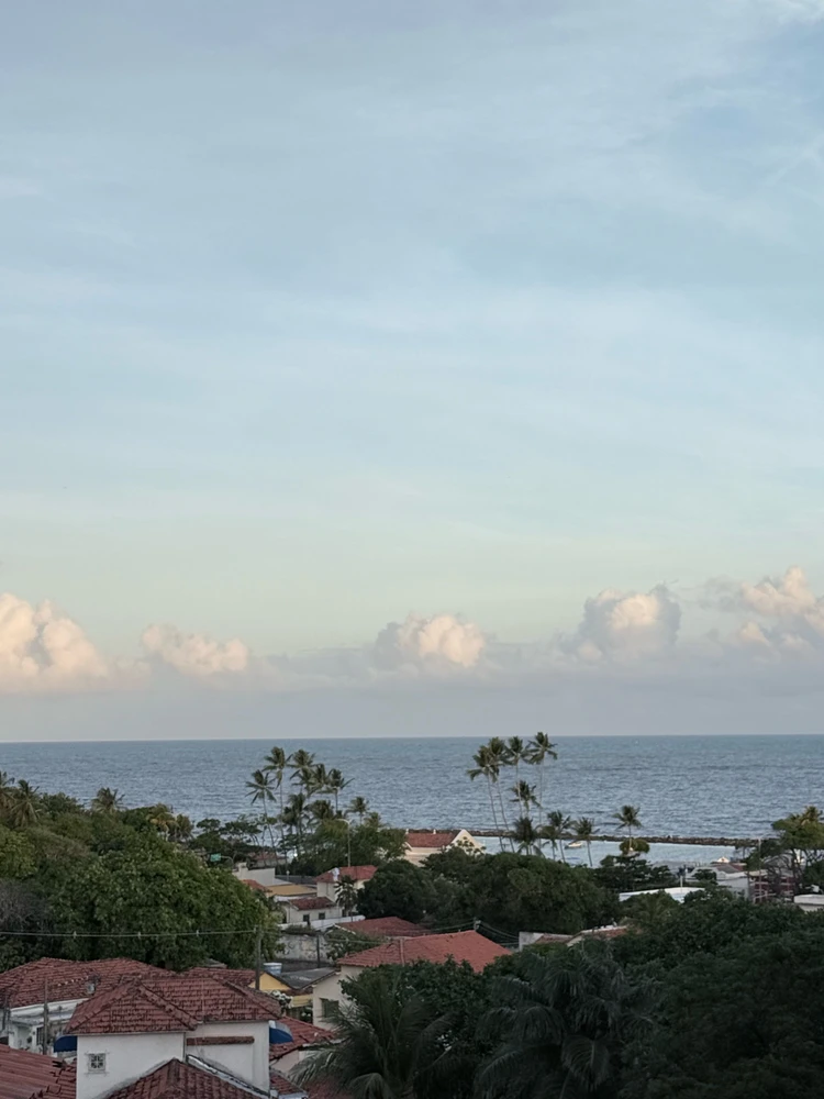 Imagem enviada por Mírian